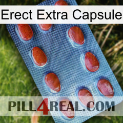 Erect Extra Capsule 06